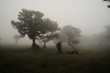 Madeira - Posto Florestal Fanal