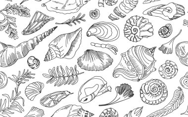 Isolated black line contour seashells and plants Seamless pattern Hand drawn ocean shell or conch mollusk scallop Sea underwater animal fossil Nautical and aquarium, marine theme. Vector illustration.
