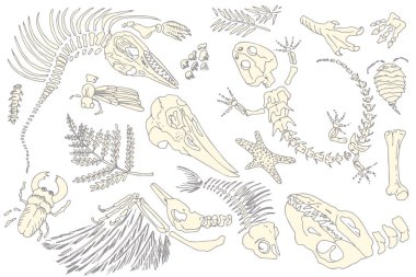 Set of silhouette imprints skeletons of prehistoric animals, insects and plants. Gray archeology, crack rocks fragments , debris boulders. Set of realistic hand drawn art. Vector illustration.