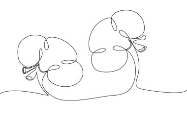 Kidneys Hand drawn icon continuous line drawing. Human organs Creative abstract art background Trendy concept One single line design. Outline simple image black and white color Vector illustration