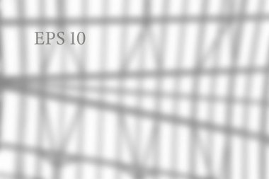 Şeffaf pencere gölgesi. Işık efekti. Ağ örgüsü. Tasarım kartınız, posteriniz, hikayeleriniz Fotoğraf gerçekçi vektör illüstrasyonunuz