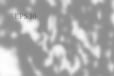 Transparent natural plant shadow. Light effect overlay. Mesh grid. Shadows from branches, plant, foliage and leaves on ground. Presentation your design card, poster Photo realistic vector illustration