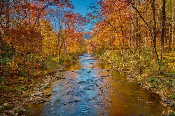 Herbstfarben Entlang Des Davidson River Pisgah National Forest — Stockfoto