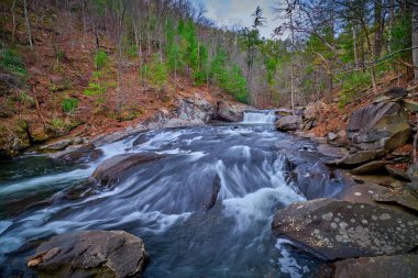 Bebek Şelalesi TN 'deki Cherokee Ulusal Ormanı' nda Tellico Nehri 'nde Rapids ile.