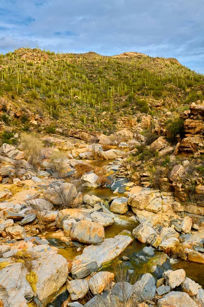 Utsikt Över Tanque Verde Creek Coronado National Forest Arizona — Stockfoto