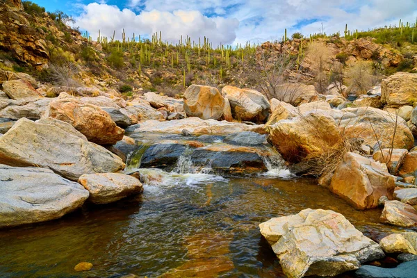 Liten Falla Längs Tanque Verde Creek Coronado National Forest Arizona — Stockfoto
