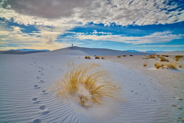 Woman Hiker Explores White Sands National Park New Mexico — Stock Photo, Image