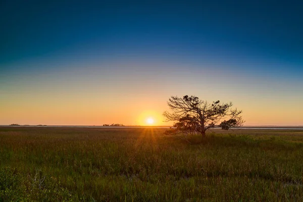 stock image Sunset over marsh grass near hunting island state park in south carolina.