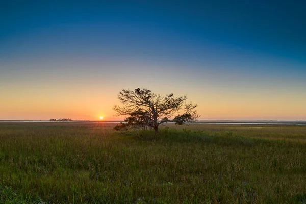 在南卡罗来纳州狩猎岛州立公园附近的沼泽地草地上落日 — 图库照片