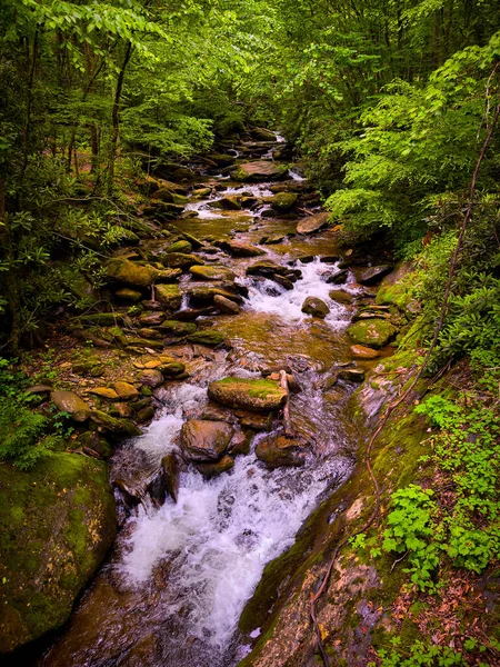 Curtis Creek Curtis Creek Campground Pisgah National Forest North Carolina — Stock Photo, Image