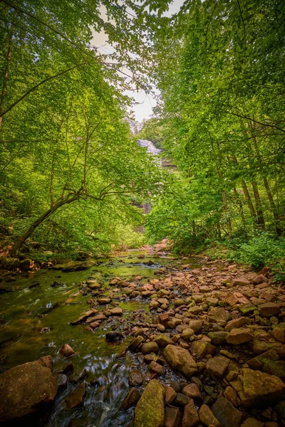 Vista Falls Creek Falls Creek Falls State Park Tennessee — Foto de Stock