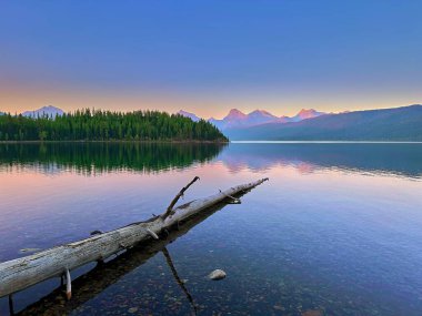 McDonald Gölü 'ndeki devrilmiş ağaç Buzul Ulusal Parkı, MT.