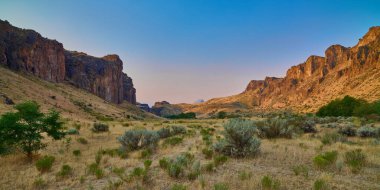 Sagebrush ile açık alan Succor Creek State Doğal Alanı, Oregon.