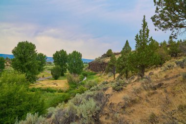 Oregon, Page Creek Kampı boyunca kayalıklar.