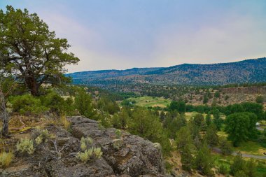 Page Creek Kampı, Oregon 'daki kayalıklardan görüntü.