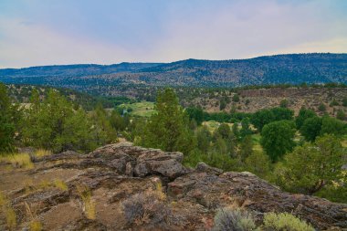 Page Creek Kampı, Oregon 'daki kayalıklardan görüntü.