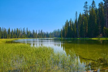Oregon Bendi yakınlarındaki Deschutes Nehri..