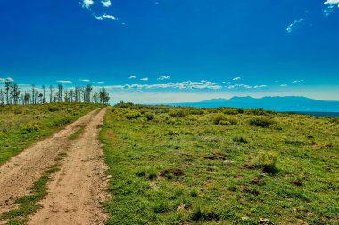 Arka planda La Sal Dağları olan Uncompahgre Ulusal Ormanı 'nda dört teker yol..