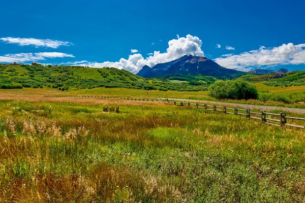 Arka planda Sneffels Dağı manzaralı Alp çayırı.