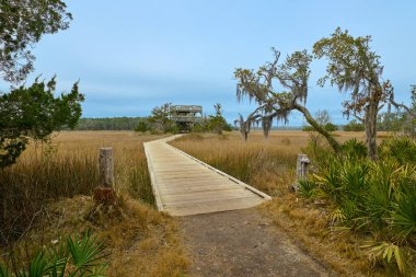 Skidaway Adası Eyalet Parkı 'ndaki Büyük Feribot Patikası boyunca tahta kaldırımlı gözlem kulesi.