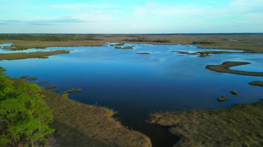 Shell Mound Kamp alanı yakınlarındaki bir körfezin insansız hava aracı görüntüleri, Cedar Key, Florida. 