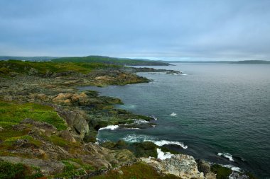St. Anthony Limanı 'nın Rocky sahili. St. Anthony, Newfoundland yakınlarında..