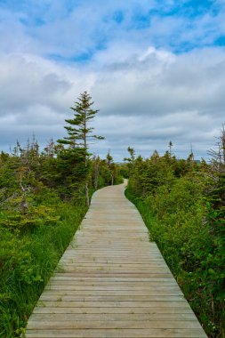 L 'Anse aux Meadows Ulusal Tarih Sitesi, Newfoundland, Kanada.