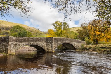 Renkli ağaçlar, Yorkshire Dales 'de Bucken' deki Wharfe Nehri boyunca uzanan güzel köprüyü çevreleyip çerçeveler..