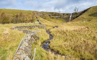 Yukarı Wharfedale Şelalesi Yorkshire Dales 'deki Wharfedale Vadisi' ne su döküyor..