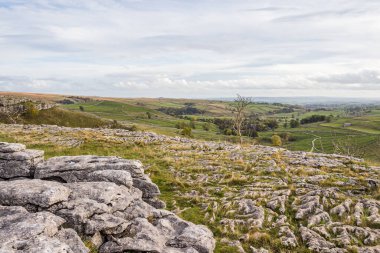 Yalnız ağaçlar ve Yorkshire Dales 'in göbeğindeki Malham Koyu' ndaki engebeli kireçtaşı manzarası..