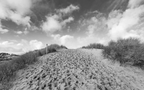 Een Zwart Wit Beeld Van Voetstappen Steile Zandduinen Bij Formby — Stockfoto