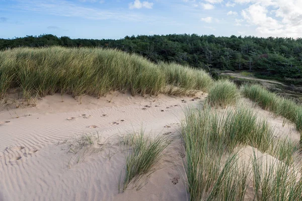 Passi Piedi Rompono Modelli Naturali Sulle Dune Tra Spiaggia Formby — Foto Stock