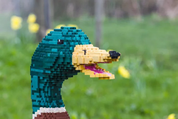 Primer Plano Una Escultura Pato Mallard Hecha Ladrillos Lego Vistos Imagen De Stock