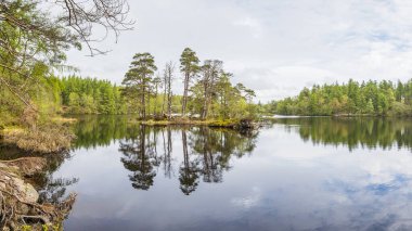 Göl Bölgesi 'ndeki High Dam Tarn' ın ortasında ağaçlarla dolu küçük bir adanın çok görüntülü manzarası aydınlık bir bahar gününde.