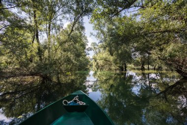 Karadağ 'ın Skadar Gölü açıklarında, çevre gibi yağmur ormanlarıyla çevrili gözlerden uzak bir bölge.