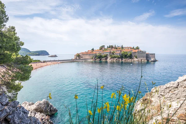 Beautiful Island Sveti Stefan Jutting Out Adriatic Sea Seen Flowers — Stock Photo, Image