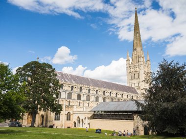 Norwich Katedrali (Kutsal ve Bölünmez Üçlü Katedral Kilisesi), Ağustos 2023 'te Norwich' in tarihi bölgesinde iki uzun ağaç arasında resmedilmiştir..