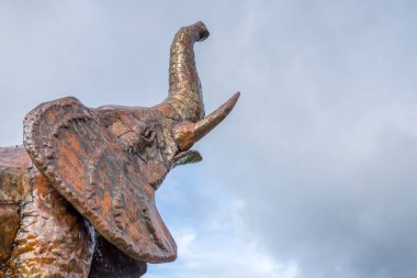 21 Ekim 2023 'te Shropshire Heykel Parkı' nda çekilen hortumlu fil..