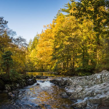 Sonbaharda Betws-y-Coed 'deki Pont-y-Çiftler Köprüsü' nün dibinden Afon Llugwy 'ye bakıyorum..
