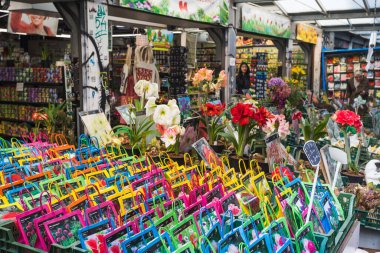 27 Mayıs 2024 'te Bloemenmarkt çiçek pazarında satılık laleler, Amsterdam, Hollanda.