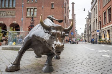 Amsterdam 'ın Hücum Boğa' sı 26 Mayıs 2024 tarihinde Hollanda 'daki Amsterdam Borsası' nın girişinde görüldü. Heykel İtalyan-Amerikan sanatçı Arturo di Modica tarafından 2012 yılında yapılmıştır..