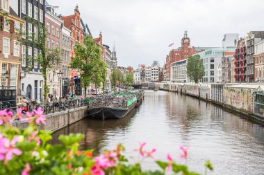 Hollanda 'nın başkenti Amsterdam' da Singel Kanalı 'ndaki yüzen çiçek pazarına uzanan köprüye bakan çiçekler 26 Mayıs 2024' te görüldü..