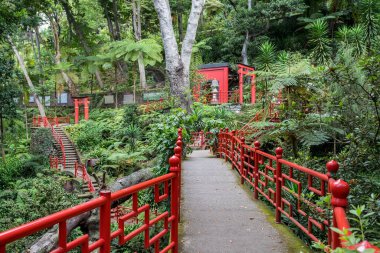 31 Temmuz 2024 'te Madeira' daki Monte Palace Gardens, Funchal 'ın yemyeşil yeşillikleri etrafında turistleri kırmızı korkuluklar gezdiriyor..
