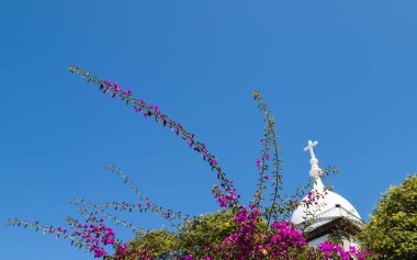 Parlak mavi gökyüzünün altında güzel çiçekler ve Funchal, Madeira 'daki Büyük Aziz Mary Kilisesi' nin kulesi..