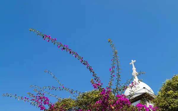 stock image Pretty flowers pictured under a bright blue sky and the tower of Church of Saint Mary the Great in Funchal, Madeira.