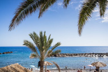 1 Ağustos 2024 'te Ponta do Sol, Madeira' da öğleden sonra güneşinin tadını çıkaran insanlar, bir palmiye ağacının gölgesinde resmedildi..