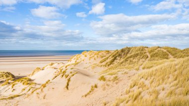 The high sand dunes tower over the beach at Formby on the Sefton coastline near Liverpool seen under a blue sky. clipart