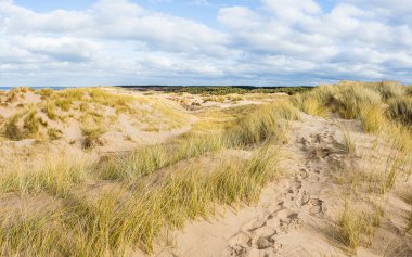 Liverpool yakınlarındaki Formby sahilindeki kum tepelerinde kış güneşinin altında ayak izleri görülüyor..
