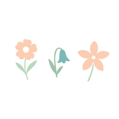 Beyaz Arkaplanda Üç Parlak Çiçekli Düz Çiçek Kompozisyonu. Asgari Botanik