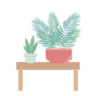 Modern iç mekanlarda mobilyalar ve doğal malzemelerle döşenmiş ev bitkileri.